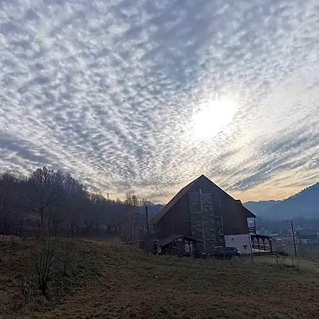 Ciresarii Otel